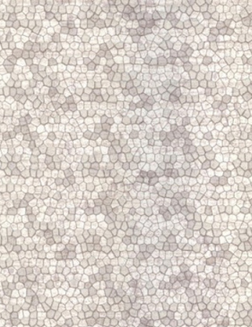 Обои Fresco Elegant SZ001413