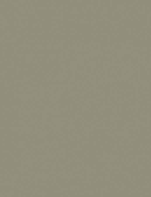 Обои Prospero Raw Elegance 343-345707
