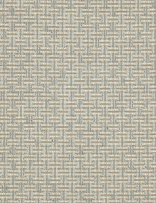 Ткань Colefax and Fowler Brett Weaves F4641/05