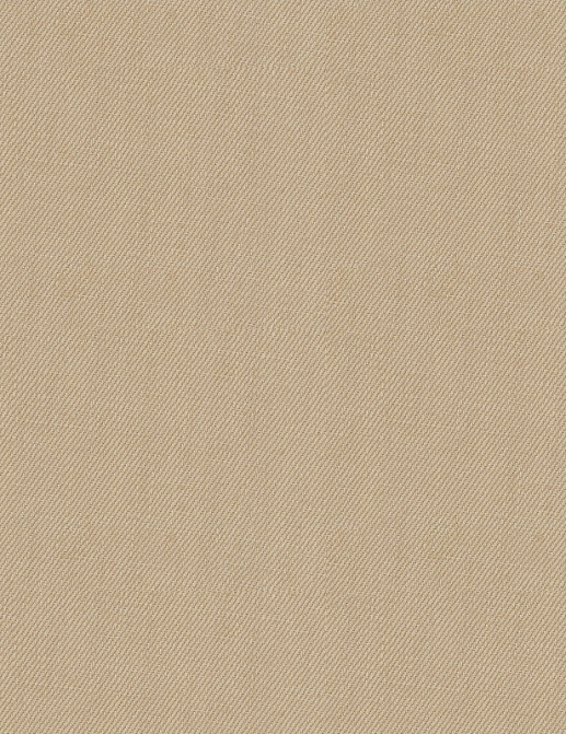 Ткань Ralph Lauren Texture Library LFY11929F