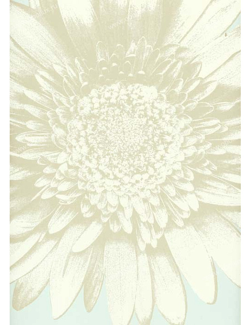 Обои Wallquest Etchings ET31604