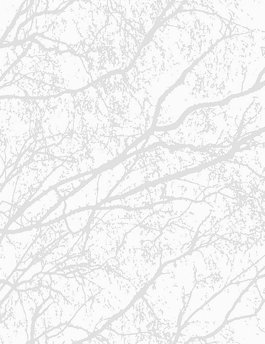 Обои Eco Decorama 2019 9318