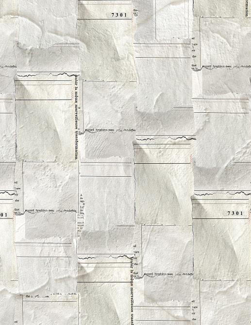 Обои Coordonne Random Papers issue 6500505