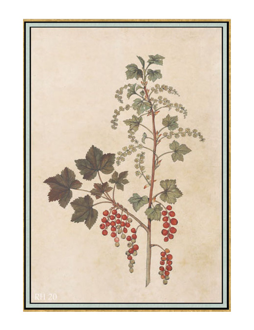Панно и фотообои Iksel Scenic & Architectural Wallpapers Renaissance Herbier RH20