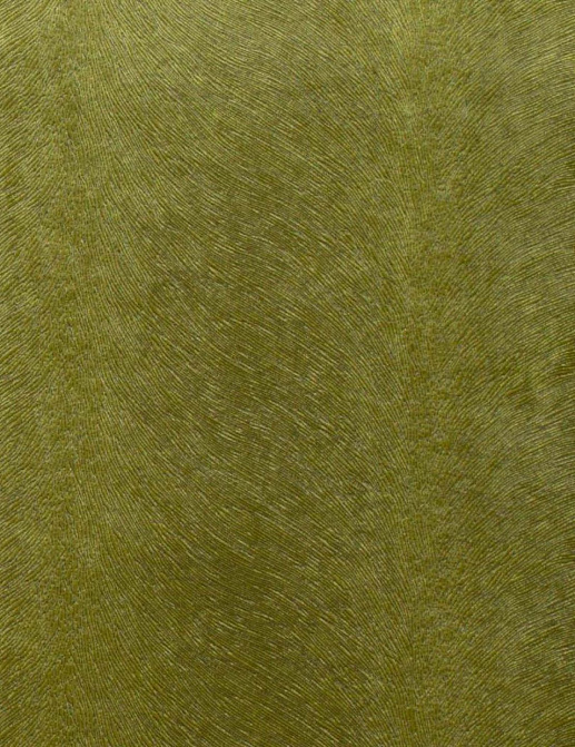 Ткань KAI Allegra Allegra/Kiwi