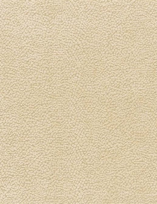 Ткань Nina Campbell Brodie Weaves NCF4143-07
