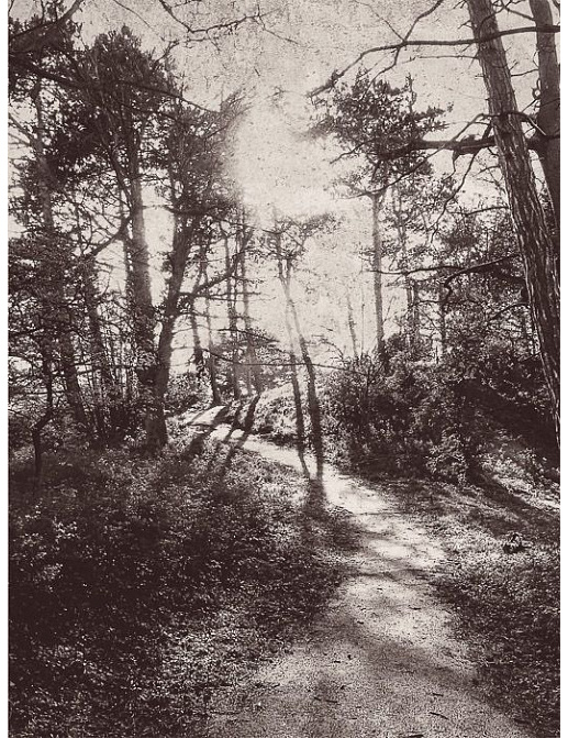 Панно и фотообои Eijffinger Lino 379100