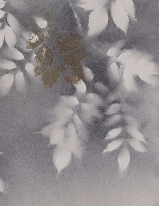 Панно и фотообои Glamora Creative Wallcovering GLSH122A