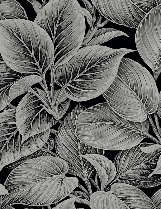 Обои Paper & Ink Shades & White WS70300