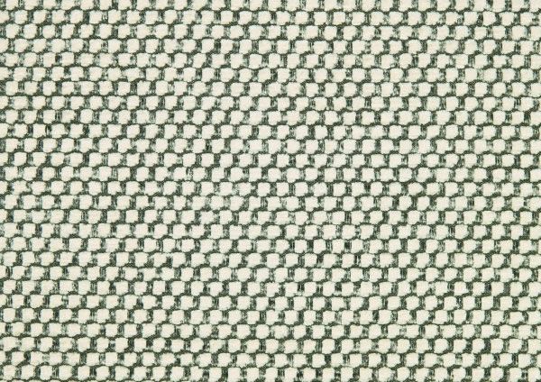 Ткань Designers Guild Brescia F1452/01