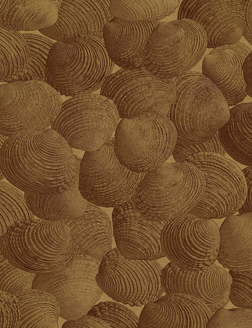 Панно и фотообои Italreflexes Macro Shell-002/Gold
