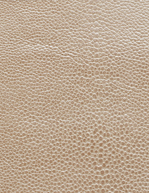 Ткань Holly Hunt Holly Hunt Leather 6000/48