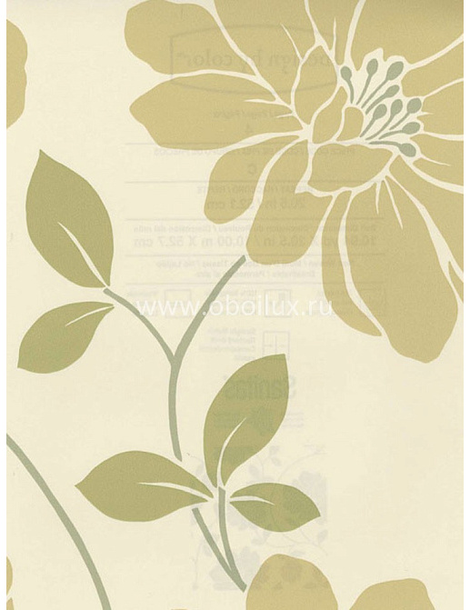 Обои Blue Mountain Green BC1582012