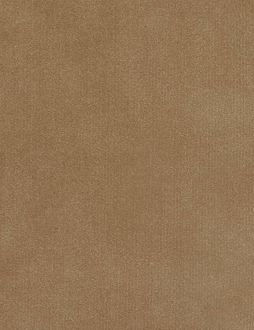 Ткань Loro Piana Doge Velvet AC3018/8