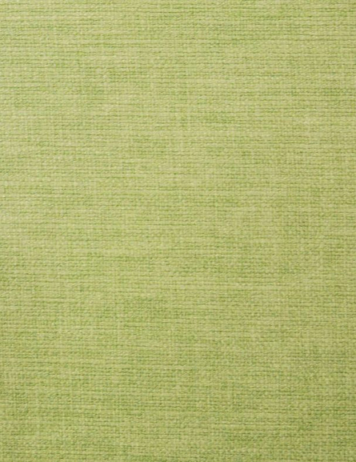 Ткань Ashley Wilde Lunar Lunar/Grass