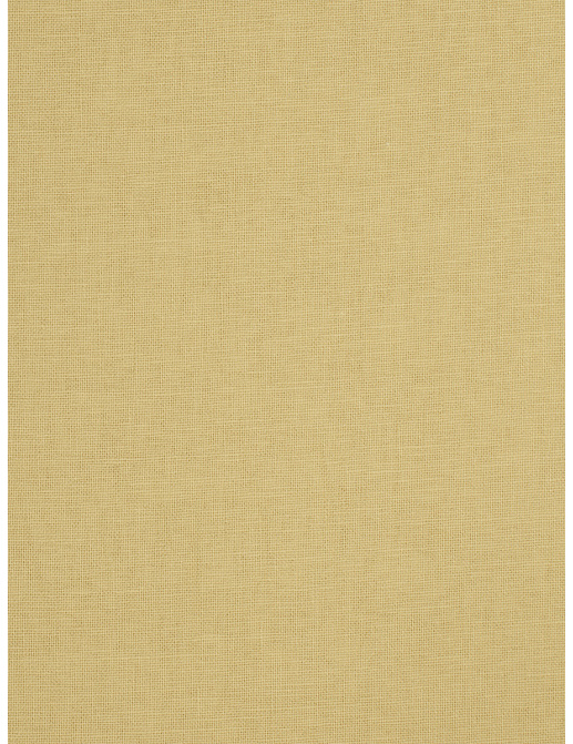 Ткань Trend Lemon Zest Cashew Prints & Wovens Vol.III 01838/Cashew