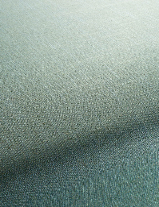 Ткань Chivasso Carlucci di Chivasso Two-Tone vol.2 CA7655/083