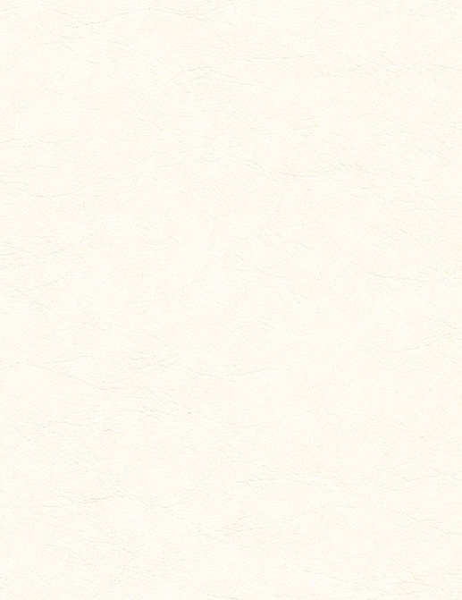 Обои Chesapeake Warner Textures WA4537