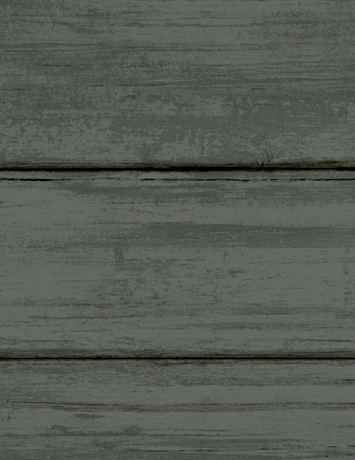Обои York Natural Digest ND3055