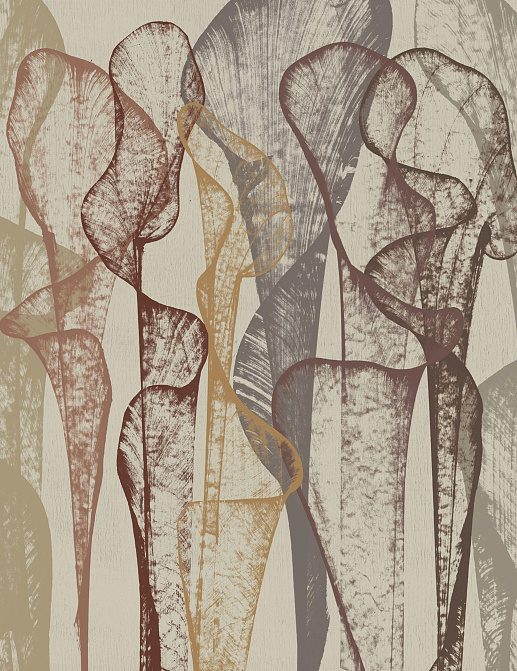 Обои Wall & Deco Contemporary Wallpaper Collection WDTR2101