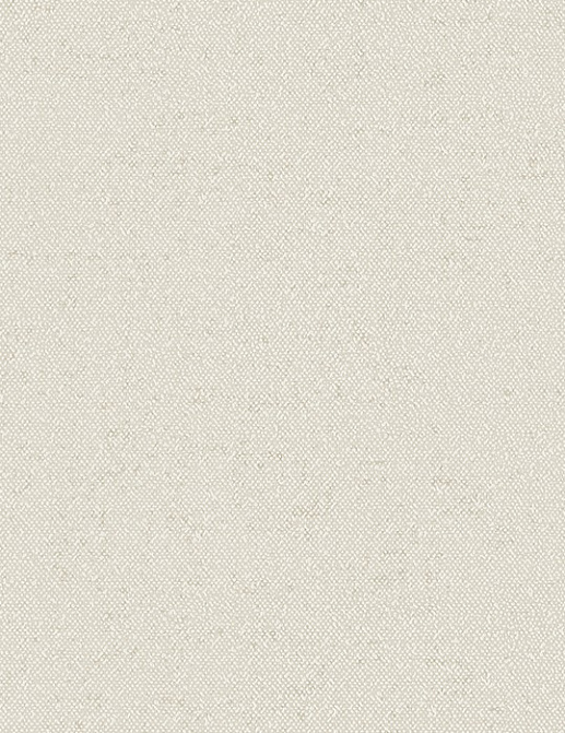 Обои Faboie Pioneer BA-PES1104