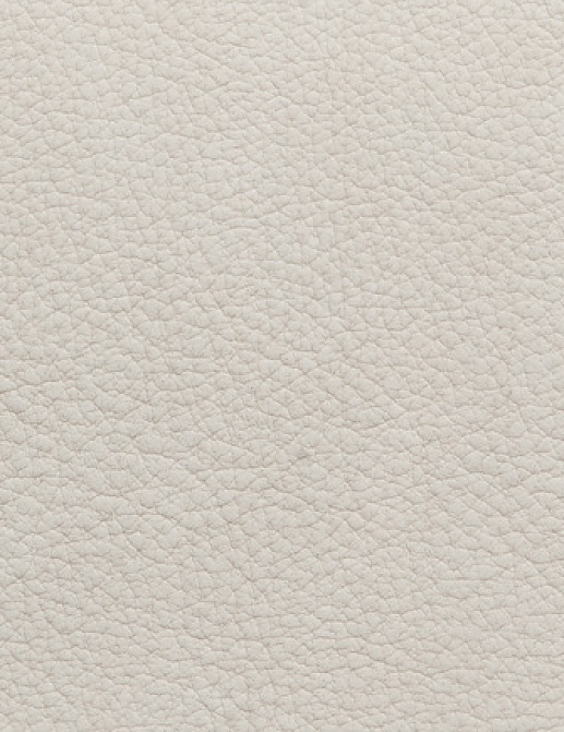 Ткань Holly Hunt Holly Hunt Leather 6002/21