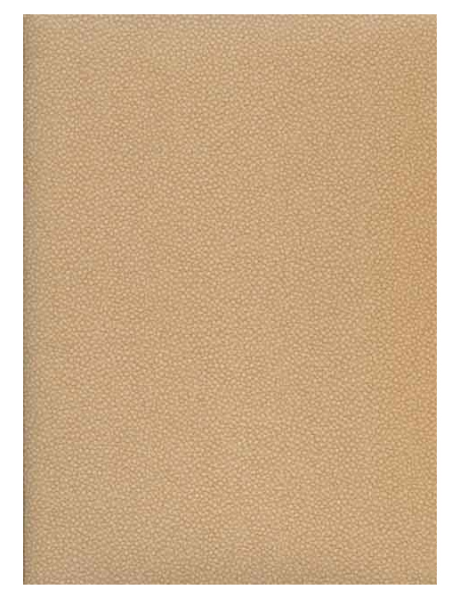 Обои Caselio Seduction SDN 5750-12-65
