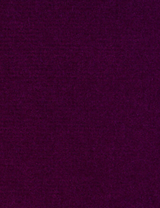 Ткань Alessandro Bini Velluto di Cotone G075/824