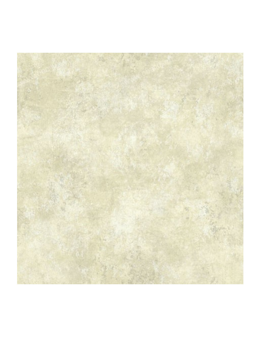 Обои Wallquest Trieste rg41508