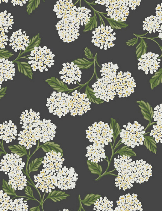 Обои York Rifle Paper Co RI5146