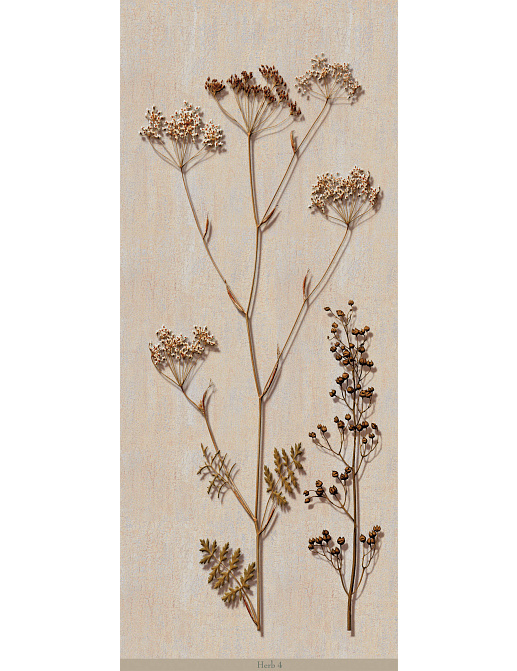 Панно и фотообои Iksel Scenic & Architectural Wallpapers Herbier Herb4