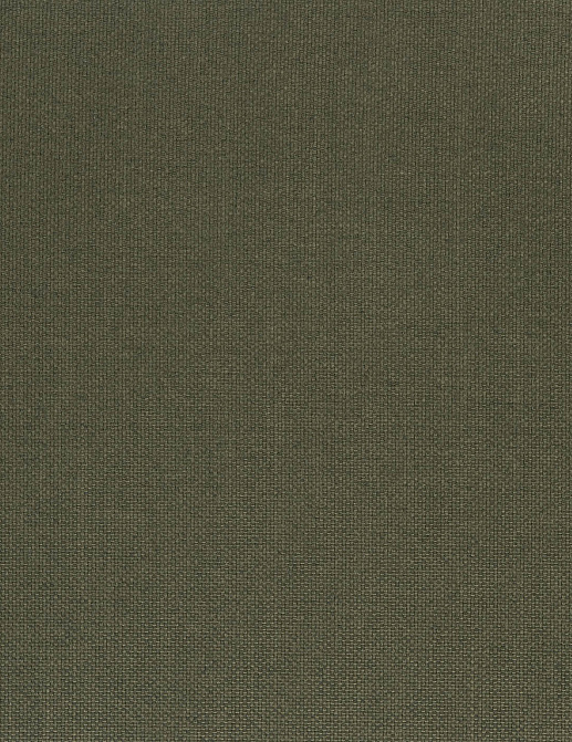 Ткань Designers Guild Cara FT1976/17