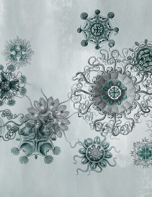 Панно и фотообои Wall & Deco Wet System 2015 WET_ME1502