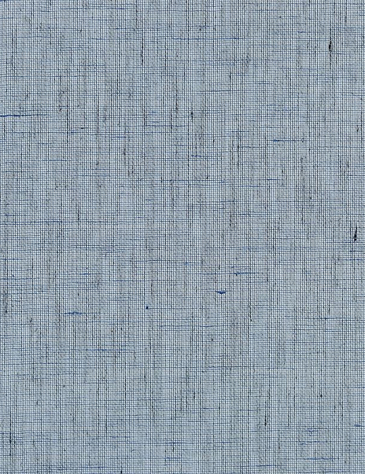 Обои Phillip Jeffries Tailored Walls 5554