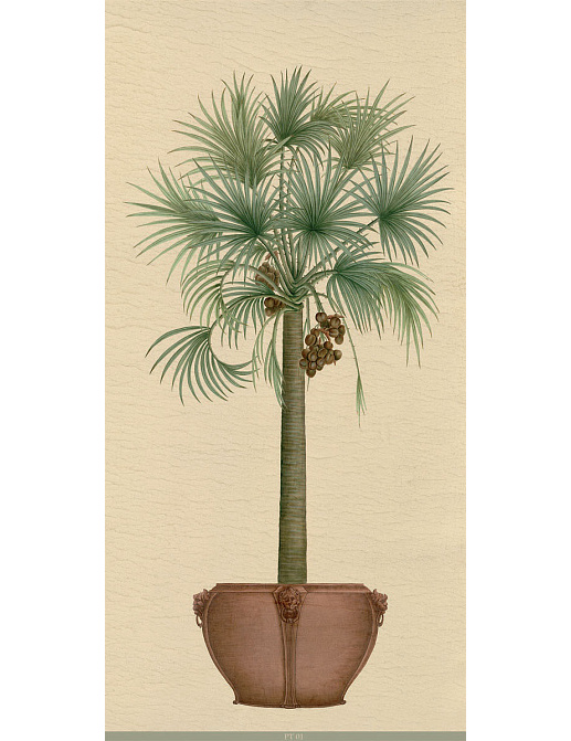 Панно и фотообои Iksel Scenic & Architectural Wallpapers Potted Palms PT01