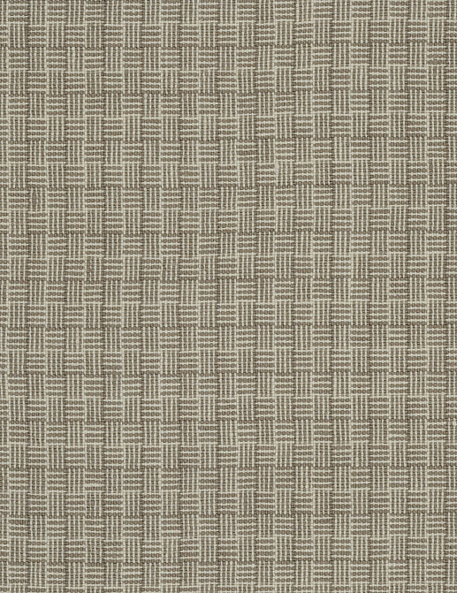 Ткань Designers Guild Brera Filato F1996/01