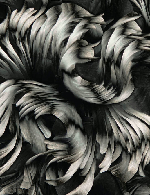 Панно и фотообои Wall & Deco Contemporary Wallpaper Collection 2023 WDAC2302