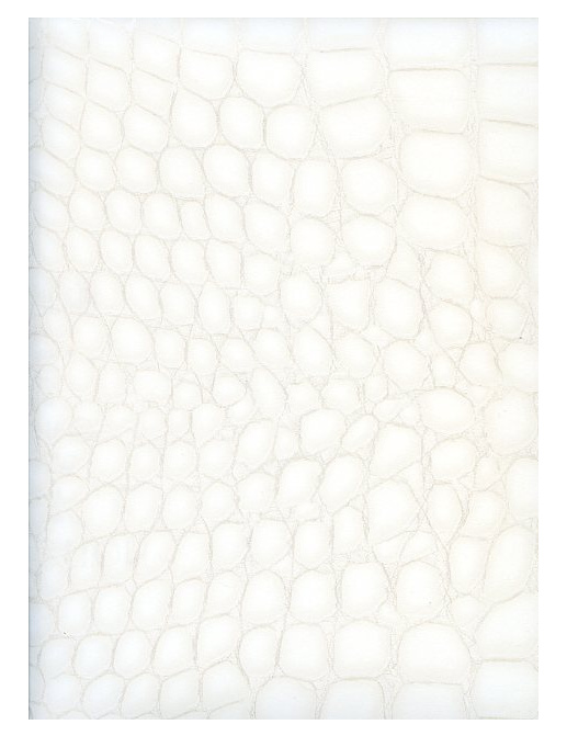 Обои Caselio Seduction SDN 5747-00-15