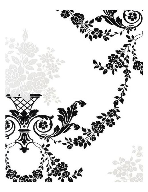 Обои Caselio Black & White BTW51809117