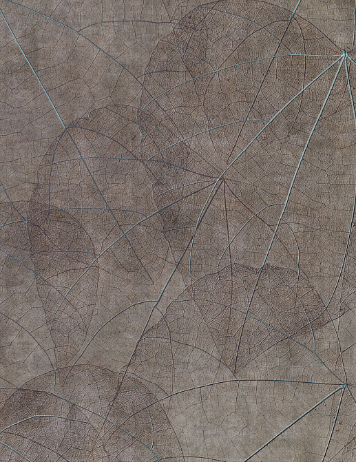 Панно и фотообои Glamora Creative Wallcovering GLNF123A