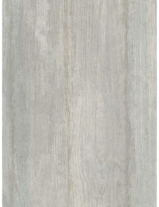 Обои Chesapeake Sand Dollar DLR54615