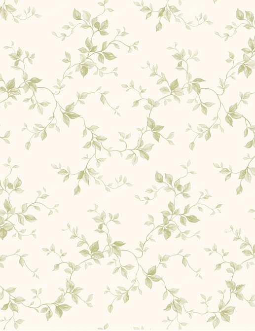 Обои Chesapeake Pure Country PUR21574
