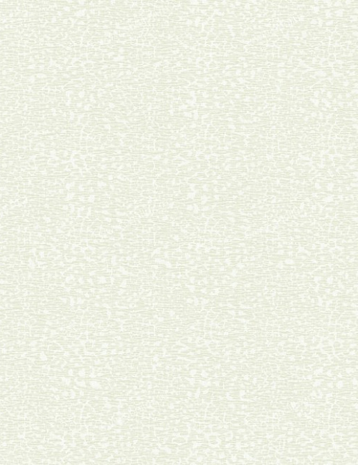 Обои York Carey Lind - Rhythm & Hues RC3757