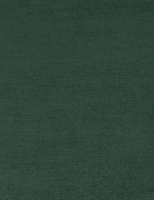 Ткань Clarke & Clarke Riva F1583/12