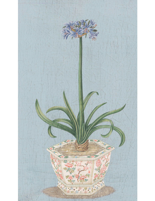 Панно и фотообои Iksel Scenic & Architectural Wallpapers Potted Flowers PF23
