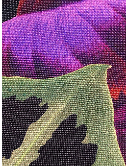Ткань Jakob Schlaepfer Volume 3 720257/201