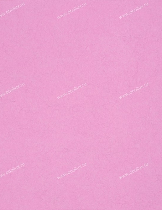 Обои Designers Guild Tsuga P502/40
