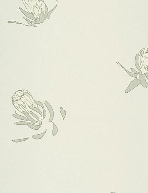 Обои Paint & Paper Library Tresco Buds Hugo