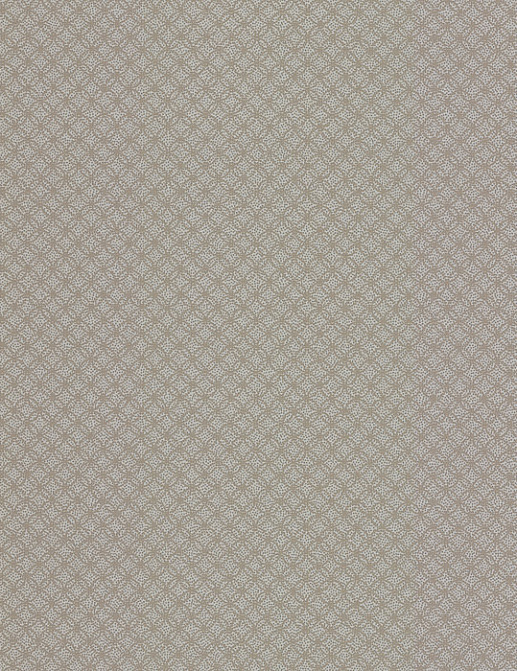 Обои Chelsea Decor Vision DL22844