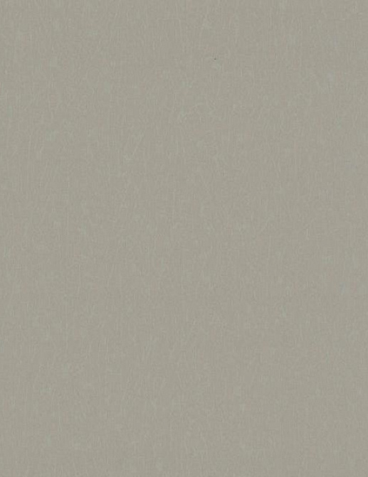 Обои York Candice Olson - Terrain COD0524N